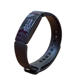 Fitbit Inspire