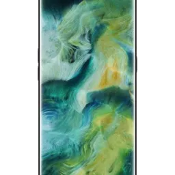 Oppo Find X2 Neo 5G 12/256Gb Black