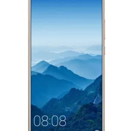 Huawei Mate 10 Pro 6/128GB Dual Brown