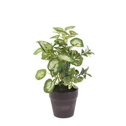 Plantă artificială Holland 47498 NVT Цветок искусственный 20cm, 6 дизайнов