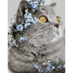 Tablou pe numere Strateg R 9 /16 (GS919)(49085) Pisica Britanica оn flori, 40x50 cm
