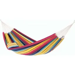 Amazonas Barbados Rainbow