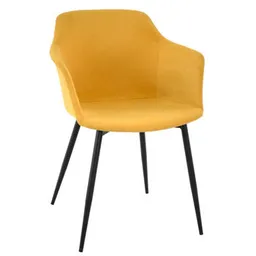 Deco Aster