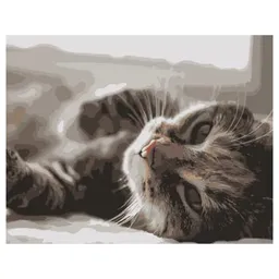 Tablou pe numere Strateg R 9 / 2 (DY109)(36214) Pisica оn raze, 40x50 cm