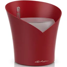 Ghiveci pentru flori Lechuza Orchidea, Scarlet Red