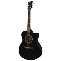 Yamaha FS100 C