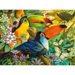 Castorland Puzzle C-300433