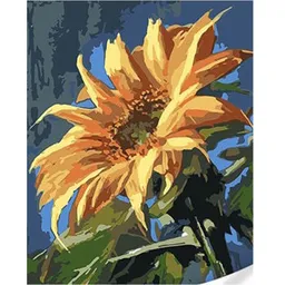 Tablou pe numere Strateg R 8 /17 (SS1123)(75473) 30x40 cm