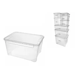Cutie depozitare Promstore 53363 cu capac Econova Cristal 49l, 55.5X39X29cm, transparent