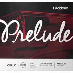 D’Addario J1010
