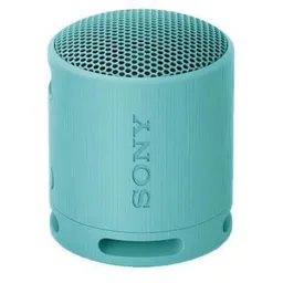 Sony SRSXB100L