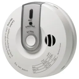 DSC PG8913