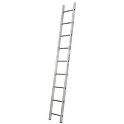 Scară Technoworker 1x13 (DLE113)