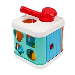 Sortator Dolu 9499 Cub Copil destept