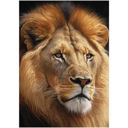 Puzzle Три Совы RL360300 "Leu", 260 elemente