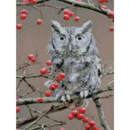 Tablou pe numere Strateg HX304 Алмазная мозайка Сова на ветке 30x40