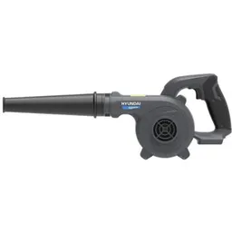 Hyundai BW20S
