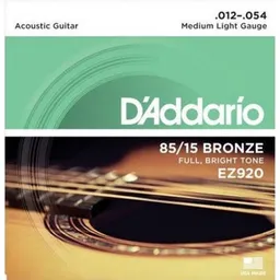 D’Addario EZ920
