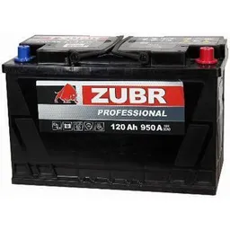 Zubr Professional