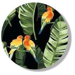 Papagali Tropicali BrushMe RC00018FC
