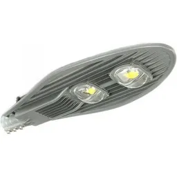 Market Street Light 2COB 100W