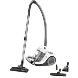 Aspirator ROWENTA RO2957EA