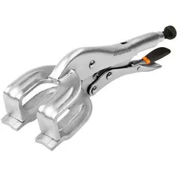 Wokin Cleste menghina