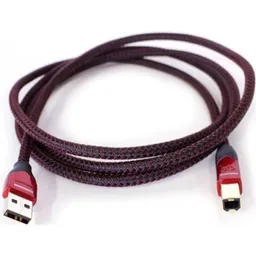 IT Audioquest Cinnamon 2.0 A-B