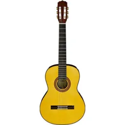 Chitară Aria A-30S N classic