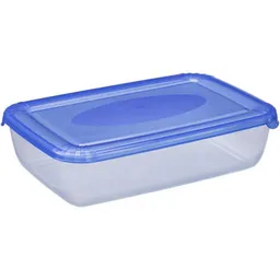 Container alimentare Plast Team 1673 POLAR - 3 л