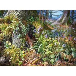 Castorland Puzzle C-200764