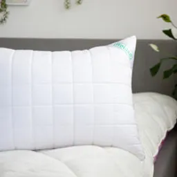 Textile de casă Relaxe Home Подушка Batist Bamboo 70x70 см