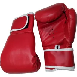 Articol de box Arena 87979AD mănuși de box 87979AD 12-14OZ