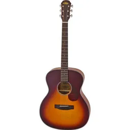 Chitară Aria 101 MTTS acustica