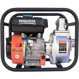Sequoia SPP600