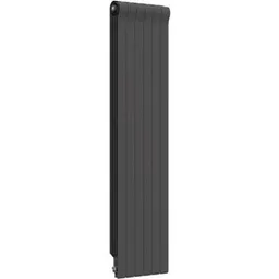 Radiator Radiatori 2000 Design Ottimo Plus 1800 Anthracite (4elem.)
