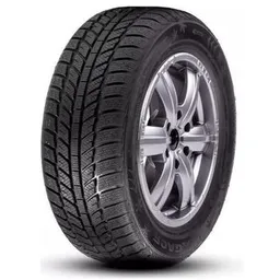 RoadX RxFrost WH01