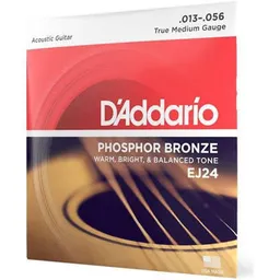 D’Addario EJ24