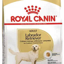 Royal Canin Labrador Retriever Adult