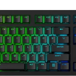 HyperX Alloy Rise Back