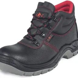 Fridrich & Fridrich Mainz SC-03-008 S1