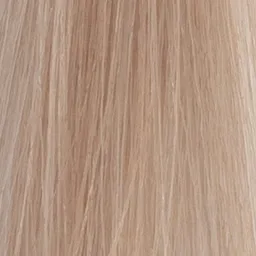 Trinity Dilutioniste LC 10.14