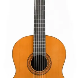 Yamaha C40