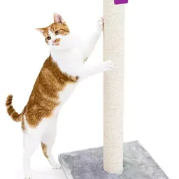 Petrebels Cat Tree