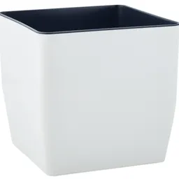 Aleana 115085