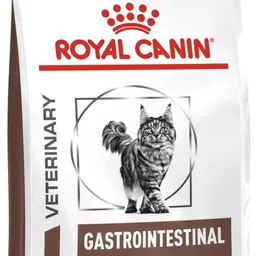 Hrană uscată pentru pisici Royal Canin Gastrointestinal Fibre Response 4kg