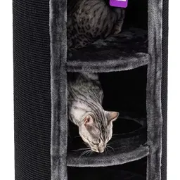 Ansamblu pentru pisici Petrebels Champions Only Superdome 100 Pepper (431209)