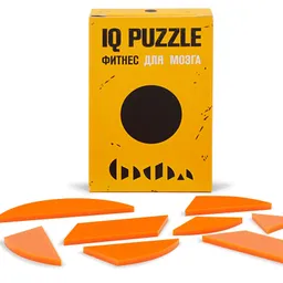 IQ Puzzle Circle
