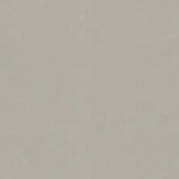 Rasch 9811-86