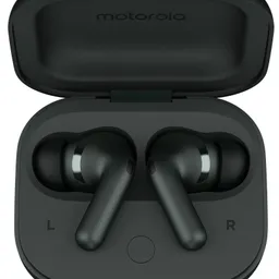 Motorola MotoBuds+ Forest
